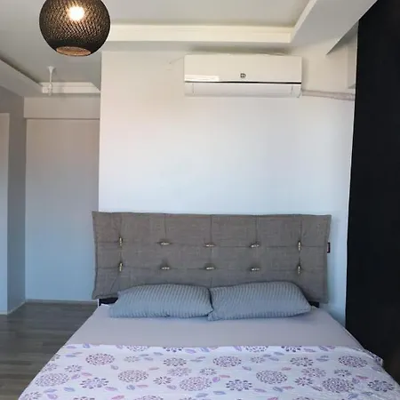 Sapanca Butique Villa *