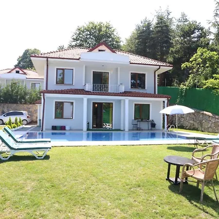 Sapanca Butique Villa *